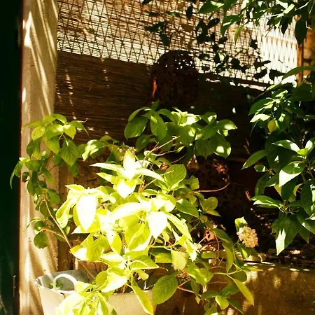 Beautiful Garden Studio Apartament